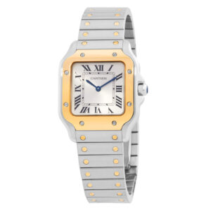 Santos Small Model Silver Sunray Dial Unisex Watch